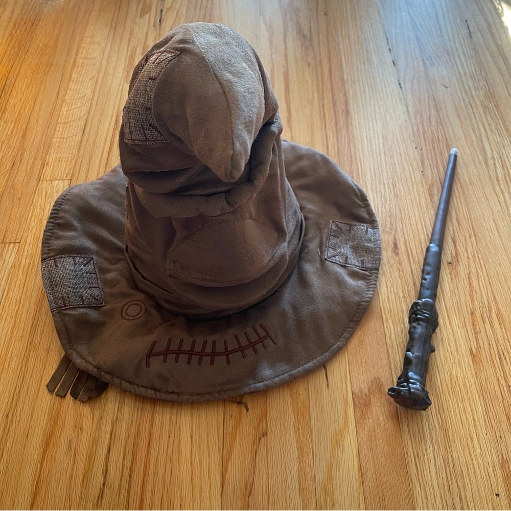 Harry Potter Wizard Sorting Hat and Wand Set